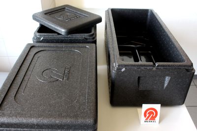 Thermo-Transportcontainer aus extrudiertem Polypropylen